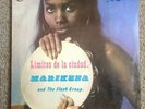 MARIKENA & THE FLASH GROUP VERY RARE CHILE PRESS Funk Soul Tina Turner VG
