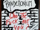 PANDEMONIUM Who the Fuck Are You ORIGINAL bgk HC punk KBD