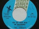 Garage Psych THE SONICS You Got Your Head On Backwards JERDEN VG++ Promo 45 MP3