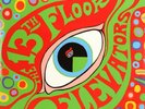 13th FLOOR ELEVATORS The Psychedelic Sounds Roky Erickson COLOR VINYL LTD MINT