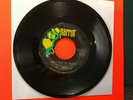 The Zombies 45, 