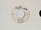 The LOST SOULS - Simple To Say / Girl I Love GARAGE PUNK BANG WHITE LABEL 45 EX