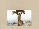 Shellac - Dude Incredible (Vinyl Used Very Good)