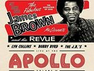 BROWN,JAMES REVUE-LIVE AT THE APOLLO 1972 VINYL LP NUOVO
