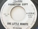 TEEN The Velvetones ONE LITTLE MINUTE Sparton 45 rare Canadian NM