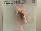 Tim Buckley Blue Afternoon Original 1969 Vinyl LP