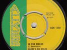 60s 70s Skinhead Reggae LARRY'S ALL STARS in the fields 1971 UK 7