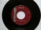 Sonny Boy Williamson 45 - Wake Up Baby / Your Funeral & My Trial VG+