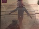 Lenny Kravitz - Raise Vibration NEW Ltd Ed, Picture Disc free USA shipping 