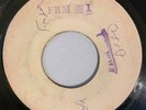 LESLIE BUTLER - POLONAISE REGGAE - BLANK ( SKINHEAD INST 7 )