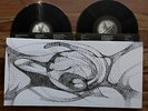 Yoko Ono Plastic Ono Band Between My Head And The Sky vinyl 2LP Sean Lennon 2009