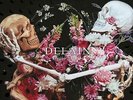 DELAIN Hunter's Moon BOX SET NUOVO Limited Edition