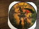 Molly Hatchet   Flirtin With Disaster   CBS   1979 Promo Picture Disc