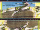Widespread Panic ?- Space Wrangler 2 x LP - Vinyl Album - Southern Rock Record