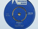 THE MOON BOYS Appolo 11 PIONEERS Love Love Everyday Amalgamated AMG 846 LISTEN