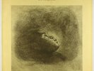 Donald Byrd - Love Byrd LP - Elektra