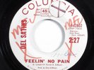 Doo Wop Rock 45 DEL SATINS Feelin' No Pain COLUMBIA promo HEAR
