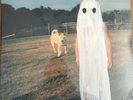 Phoebe Bridgers - Stranger In The Alps - Lavender Vinyl - Rare