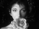 KATE BUSH REMASTERED IN VINYL 2 3 X VINYL BOX (Released November 16th 2018)