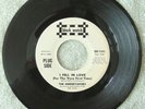 THE UNDERTAKERS I Fell in Love/Throw Your Love Away Girl PROMO Black Watch 5546