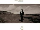 TIKARAM, Tanita - Ancient Heart: 30th Anniversary Edition (reissue) - Vinyl (LP)