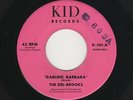 '58 White DooWop/Teen/Rockin' Gtr/Sax Instro DEL BROOKS Darling Barbara KID HEAR