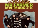 THE SEEDS Mr. Farmer /Up in Her 7