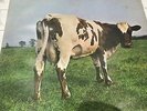 PINK FLOYD 1970 LP ATOM HEART MOTHER ORIG 1ST UK HARVEST SHVL 781 A-1/B-1 VG++