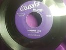 The Native Boys  Laughing Love/ Valley Of Lovers  Rare Doowop  Combo Records