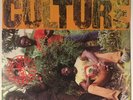 Culture”INTERNATIONAL HERB”Prod.by S.Pottinger/ Treasure Isle,Revolutionary,Rear