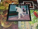 SPYRO GYRA LOT Morning Dance Catching The Sun Carnaval Incognito LP RECORD #MA
