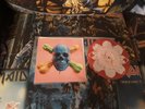 Dwarves ?– Get Up & Get High 7