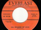 CHARTS - Everlast 5008 - All Because of Love / I Told You So - VG+ DOO-WOP 45