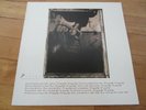 Pixies, Vinyl, Surfer Rosa, 1988