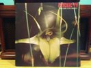 Dreams Less Sweet by Psychic TV 1983 Vinyl Bizarre Some Records UK Import 1st Pr