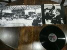 Queen Jazz 12