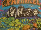CRAVINKEL - GARDEN OF LONELINESS - DE 71 - 1st PRESS