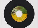 ROOTS INTERNATIONAL/ WHO REALLY CARES - KEN BOOTHE (78 REGGAE ROOTS 7