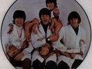 BEATLES: Casualties, Butcher Cover PICTURE DISC SEAX-11950 Vinyl LP ’80 Promo