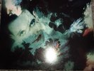 The Cure Disintegration 1st Press Vinyl Record Lp A1U/B1U NM