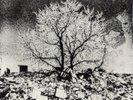 The Bevis Frond ?– New River Head 2 LP Woronzow