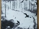 HVIS LYSET TAR OSS, Helion Records (Mayhem, Darkthrone)