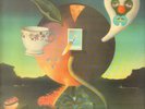 Nick Drake ?- LP  Pink Moon   (UK 1972 Folk classic)  Reissue