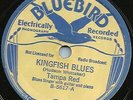 BLUES - TAMPA RED 
