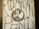 RUDIMENTARY PENI : TEENAGE TIME KILLER EP   ORIGINAL HISTORIC UK HC PUNK kbd