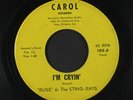 RUSS & STING-RAYS: Do The Surf / I'm Cryin' 45 Oldies