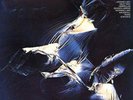ORGM | Weather Report -  Weather Report 180g 2LPs (45rpm)