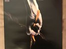 Tear Gas - Self Titled Album - Vinyl LP - SLRZ 1021 (VERY RARE )