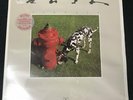 Rush - Signals Vinyl LP SEALED 1st Press with HYPE STICKER
