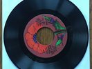 Townes Van Zandt ?– Poncho & Lefty 1972 Poppy 45 single mono stereo PROMO